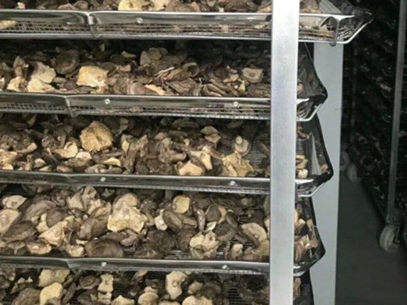 环球360干燥 热销蘑菇烘干机 厂家直销食品烘干设备